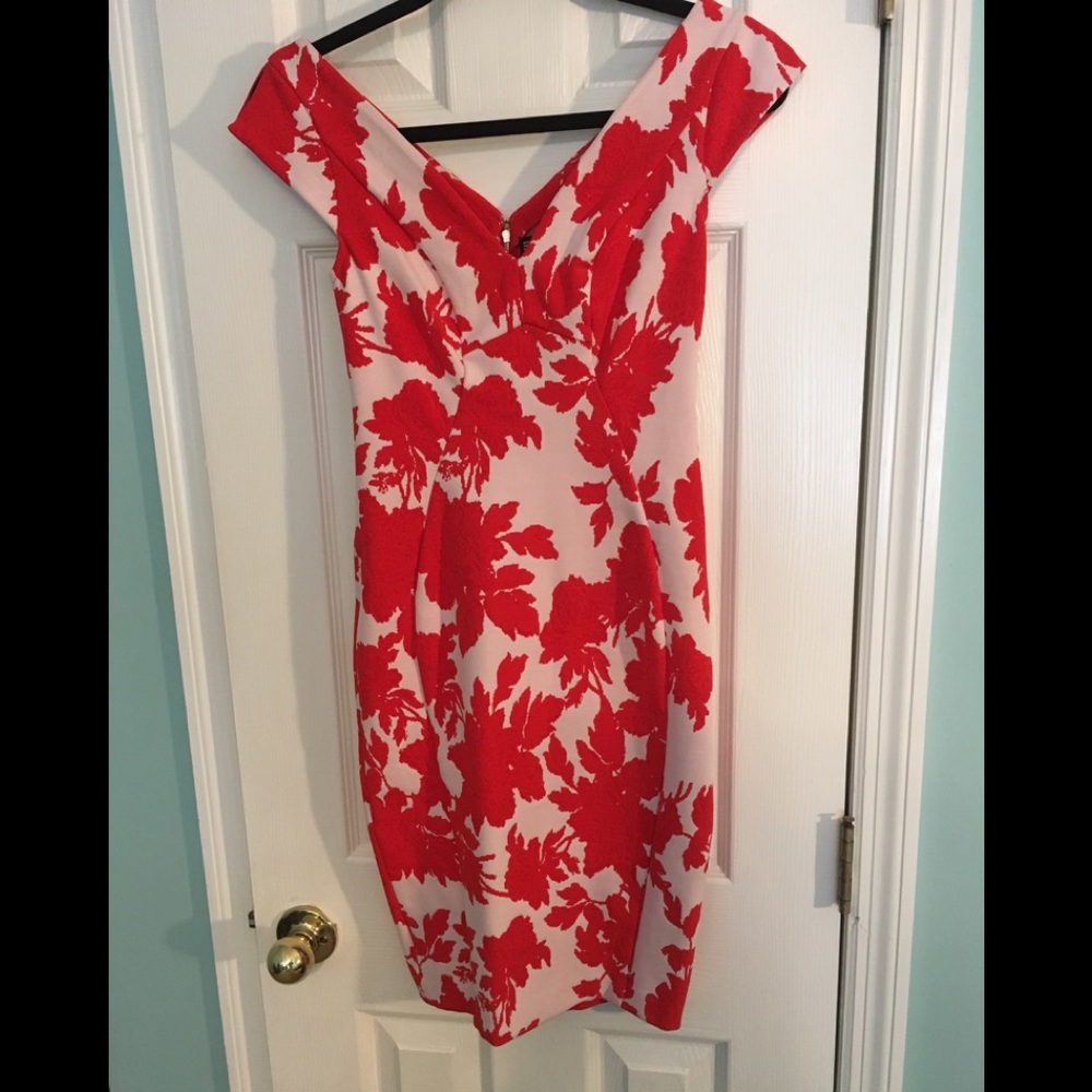 Yoana Baraschi Dress NWOT